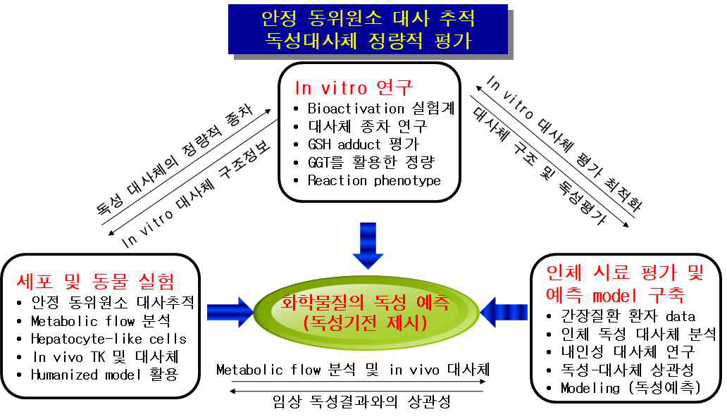 연구의 목표 및 주요한 연구내용