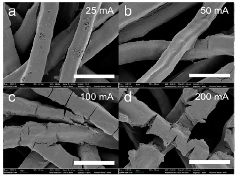 전류밀도에 따른 일체형 전극 표면 모폴로지 변화. 스케일바 크기는 50 μm
