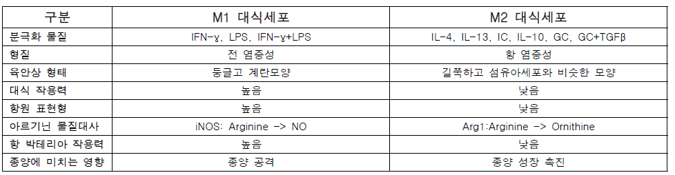 분극화 된 M1, M2 대식세포의 특징