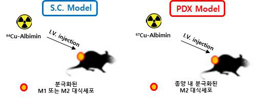 연구 핵심기술