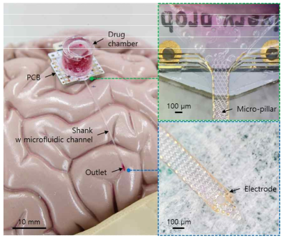 패키징된 약물 전달 뉴럴 프로브