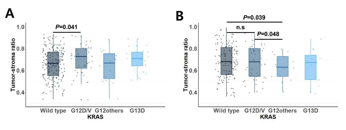 KRAS변이유형에 따른 tumor stroma ratio (TSR)를 비교한 것으로, 발견코호트 (A)와 검증 코호트 (B)에서 일치하지 않았음. 발견코호트에서 G12D/V변이형에서 유의하게 높았지만, 검증코호트에선 전혀 차이가 없었음