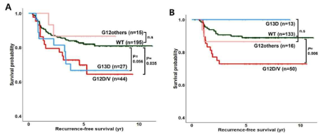 KRAS 변이형중 가장 흔한 변이인 G13와 G12D/V의 생존곡선을 살펴보면, G12D/V 변이형이 발견코호트(A)와 검증코호트(B) 둘 다 모두에서 유의하게 예후가 나쁜 것을 볼 수 있음. 그러나, G13D 같은 경우, 발견코호트에선 불량했으나, 검증코호트에선 예후가 양호하였음