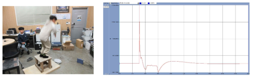 어린이 뛰어내림, 행위시 발생하는 충격력 측정