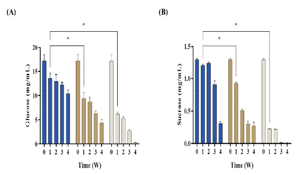 저장 온도 (4, 10, 15 ℃) 에 따른 김치의 glucose (A), sucrose (B) 농도 비교
