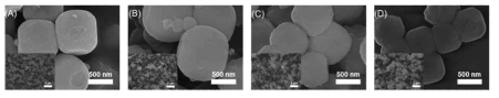 Co-Co PBA의 polymerization 시간에 따른 Fe-doped PDA 코팅 FESEM 이미지