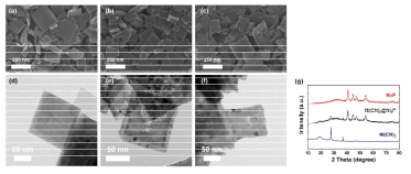 2D Ni H-MOF의 (a)-(f) 온도별 인화 열처리 후 SEM 및 TEM 이미지 및 (g) XRD 패턴