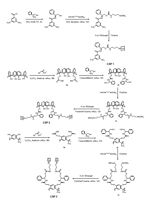 Synthetic procedure of CSP 1, CSP 2 and CSP 3