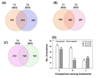 Venn diagram of total identified and common proteins in (A) non-inoculated and M. oryzae CBMB20 inoculated rice plants imposed with 0 mM NaCl (T1 and T2), (B) non-inoculated rice plants imposed with 0 mM and 200 mM NaCl (T1 and T3), and (C) non-inoculated and M. oryzae CBMB20 inoculated rice plants imposed with 200 mM NaCl (T3 and T4). (D) The total number of differentially abundant proteins among the different treatment comparisons