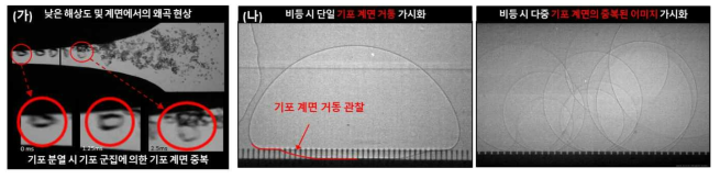 가시광선 및 방사광 X선을 이용한 계면 가시화 (가) 가시광선, (나) X-선