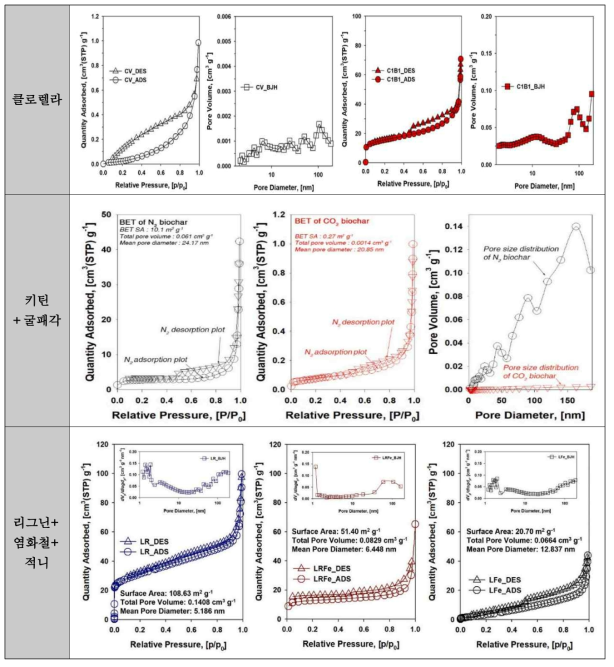 공동열분해 최종 산물 탄소 복합체의 BET 분석 결과