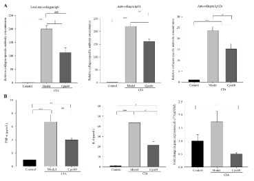 Effect of CPN60 on immune response induced by collagen injection and levels of inflammatory cytokines in CIA mice. Levels of (A) anti-collagen antibodies and (B) inflammatory cytokines TNF-α and IL-6 measured using ELISA in the serum, and Il-17 in synovial tissue measured using qPCR. Data represent the mean ± SEM and were analyzed using one-way ANOVA/Tukey’s HSD method. *p < 0.05, **p < 0.01, and ***p < 0.000 vs. control group; #p < 0.05, ##p < 0.01, and ###p < 0.001 vs. model group