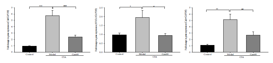 Effect of CPN60 on the expression levels of genes related osteoclast differentiation in CIA model. Data represent the mean ± SEM and were analyzed using one-way ANOVA/Tukey’s HSD method. *p < 0.05, **p < 0.01, and ***p < 0.000 vs. control group; #p < 0.05, ##p < 0.01, and ###p < 0.001 vs. model group