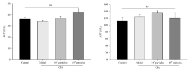 Effect of PFEVs on hepatotoxicity in CIA mice. Data are represented as mean ± SEM. One-way ANOVA/Tukey HSD analysis was performed. ns, not significant. ALT, alanine aminotransferase; AST, aspartate aminotransferase