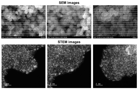 본 연구진이 합성한 고밀도 이원자 촉매의 SEM 및 STEM 이미지