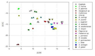 거제만 잘피생육지의 주요 생산자와 소비자 의 이중 동위원소 그래프(δ13C vs. δ15C). 1차 생산자 (●), 초식동물(▲), 무척추동물 포식자(▼), 어류(■)