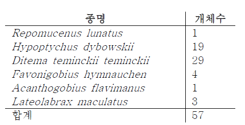 출현 어류의 개체수