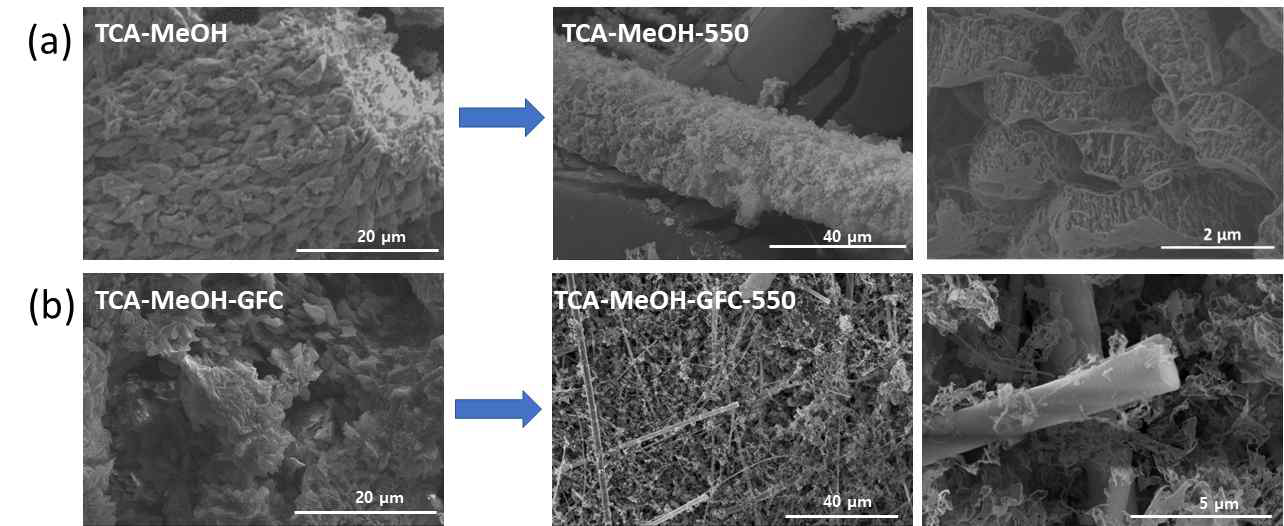 (a) TCA-MeOH 및 그 소성물, (b) TCA-MeOH-GFC 및 그 소성물의 SEM 이미지