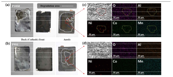 (a) 다결정 샘플, (b) 이중층 샘플 전극 사진, (c) 다결정 샘플, (d) 이중층 전극 전극의 SEM/EDS 측정 결과