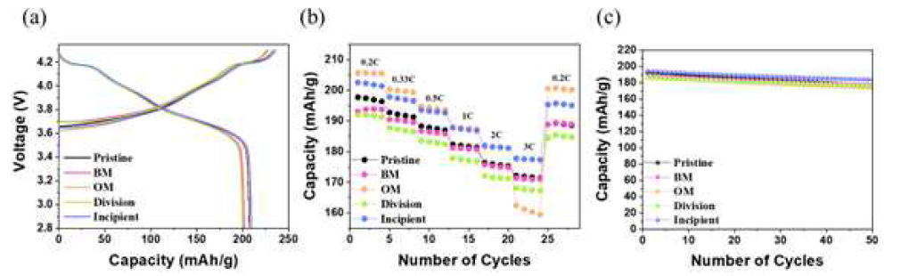 (a) 초기 충방전 그래프 (b) 율속 특성 평가 (c) 수명 특성 평가