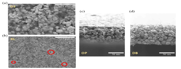 (a) 단결정 전극 상부, (b) 혼합 전극 상부, (c) 다결정 전극 단면, (d) 이중층 전극 단면의 SEM 이미지