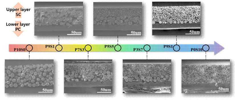 이중층 전극의 비율별 전극 단면 SEM 이미지