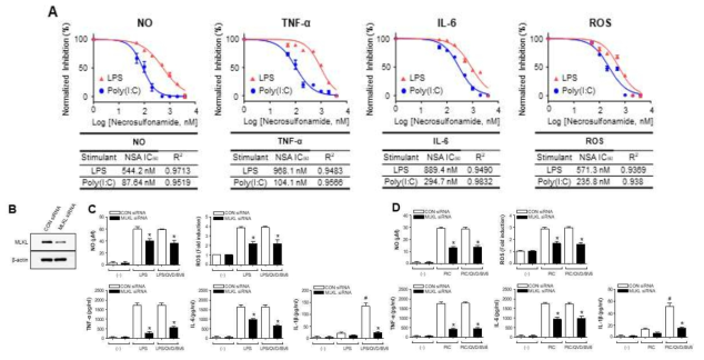 LPS, poly(I:C)로 유도된 소교세포에서 NSA, MLKL siRNA의 항염증 효과 (IC50 비교)
