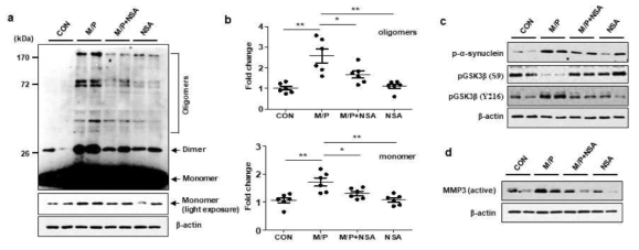 MPTP 마우스에서 NSA에 의한 α-synuclein 응집 억제 및 GSK3β, MMP-3 억제 효과