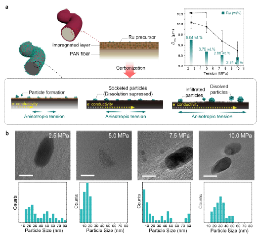 Ru-SFEC의 루테늄 입자 및 장력에 따른 흑연 결정 구조 (J. Am. Chem. Soc. 2024, Under review)