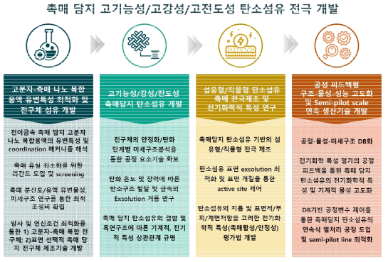 탄소섬유 기반 고기능성 전기화학 촉매섬유 개발과제의 수행 체계