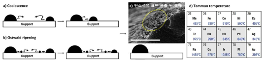 촉매 금속의 응집 메커니즘 및 금속별 고유 Tamman temperature [9], (in preaparation)