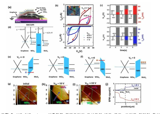 WSe2/Graphene 이종접합 광메모리의 모식도와 밴드 구조, 그리고 전기적 특성