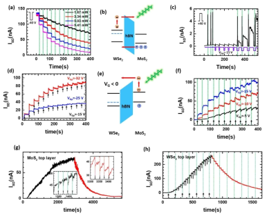 빛으로 Multilevel state를 보이는 WSe2/Graphene 광메모리