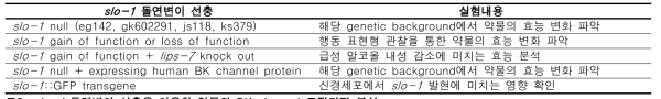 slo-1 돌연변이 선충을 이용한 약물의 BK channel 조절기전 분석