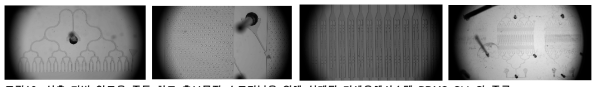 선충 기반 알코올 중독 치료 후보물질 스크리닝을 위해 설계된 미세유체시스템 PDMS Chip의 종류