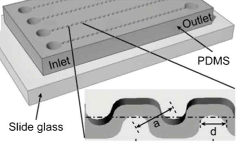 PDMS Chip 제작