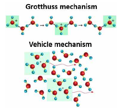 그로투스(Grotthuss) 메커니즘과 매체(vehicle) 메커니즘 모식도