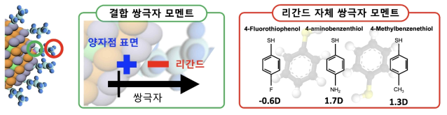 양자점 표면 리간드에 의한 쌍극자 모멘트 형성 모식도