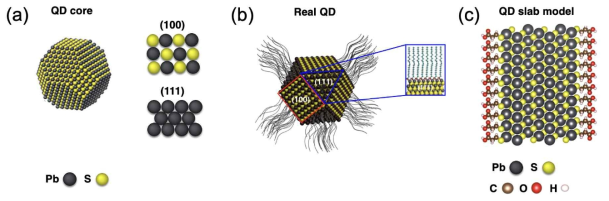 (a)PbS 양자점 코어 반도체 결정과 결정면 (rock salt 구조), (b)실제 PbS 양자점 표면의 유기 리간드 결합 모식도, (c)PbS (111)면으로 이루어진 양자점 slab 모델