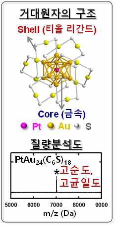 거대원자의 구조 및 질량분석도