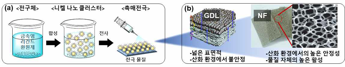 (a) 거대원자의 전극화 방법, (b) 전극 물질의 종류 및 특징