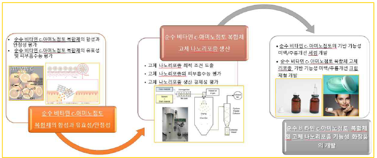 3차년도 연구개발 내용 모식도