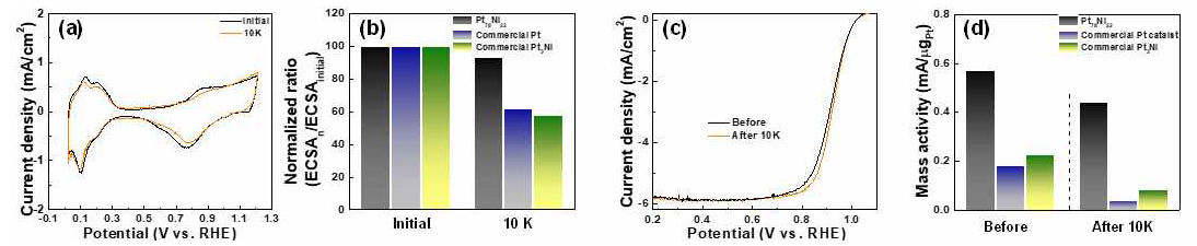 Pt skin-PtNi alloy 촉매의 내구성: (a) CV curve (b)초기대비 10kcycle이후 ECSA, (c) ORR polarization curve 및 (d) 내구성 test 전후 Mass activity