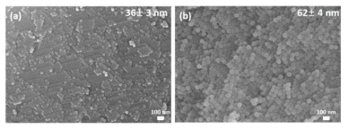 (a) 36, (b) 62 nm 실리카 나노 입자