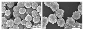 SEM 결과 (a, b) 40, 60 nm SiO2@RFP