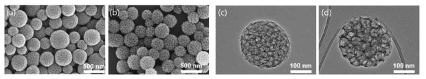 SEM 결과 (a, b) 40, 60_MCS, TEM 결과 (c, d) 40, 60_MCS