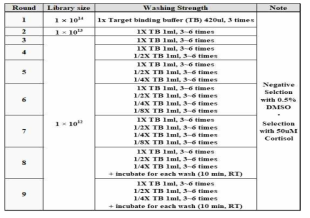 SS-SELEX를 이용한 Cortisol aptamer screening 전략