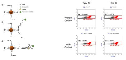 Flow cytometry를 이용한 Target binding 확인 (좌)모식도, (우)target 결합에 따른 FITC signal 변화