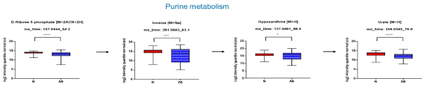 Purine metabolism 경로의 유의미하게 변화 된 대사체 정성분석과 명명