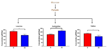 Amino acid biosynthesis 경로의 유의미하게 변화 된 대사체 정량분석